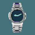 cryptowrist collection