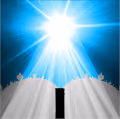 The Code of Creation