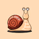 Snail Skin