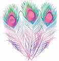 feather peacock