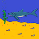 The crypto Shark V2