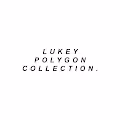 LUKEYNFT POLYGON COLLECTION V4