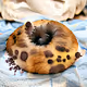 AI Donuts