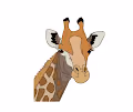 Crazy Giraff