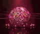 Crystal Animal Special Editions