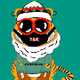 Tiger and kings