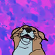 Crypto Bob The Crypto Dog