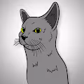 GRIFFY CATS