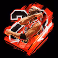 Michael Jordan Mania
