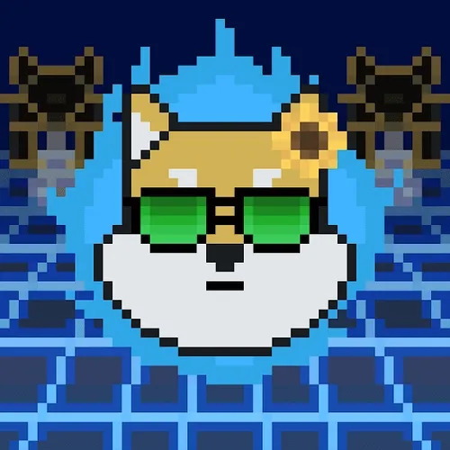 DOGE_to_the_mooooooon
