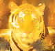 GOLDEN SAFARI BY SUNAGE