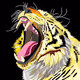Wildlife Beauties - The Big Cats
