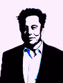 ELON MUSK THE GAME CHANGER