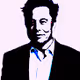 ELON MUSK THE GAME CHANGER