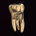 Golden Teeth