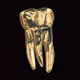 Golden Teeth