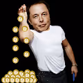 Dogecoin-Pixeltyps