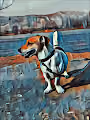 My lucky dog