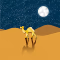 Golden camel's journey