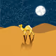 Golden camel's journey
