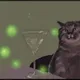 nft cat collection