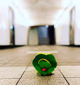 Travel Frog