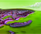 Barbados - Windward Islands (Lesser Antilles)
