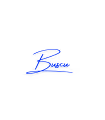 Number Plate by Buscu