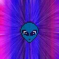 Through a Black Hole