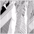 cellular automata 63