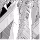 cellular automata 63