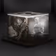 Mike Tyson Mystery Box Collection
