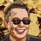 Crypto Elon's