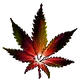 CannabisCryptoClub
