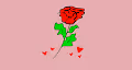VeeRose