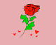 VeeRose