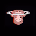 BLESSTHESADAPE