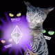 spoiled cats 88