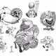 Rotary Sketches