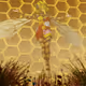 Hive Honey Bee