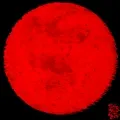 Bushido Crypto - Red Rising