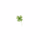 FOUR LEAF SHAMROCK