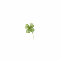FOUR LEAF SHAMROCK