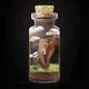 Magic Flasks