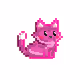 Crypto colour Pussycat
