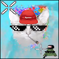 Kush Cats