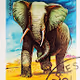 Crypto Elephants of Tanzania Postage Stamps