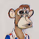 Brd ape yacht club art nft