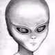 Not A Real Human