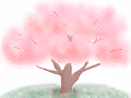 What is "Sakura"